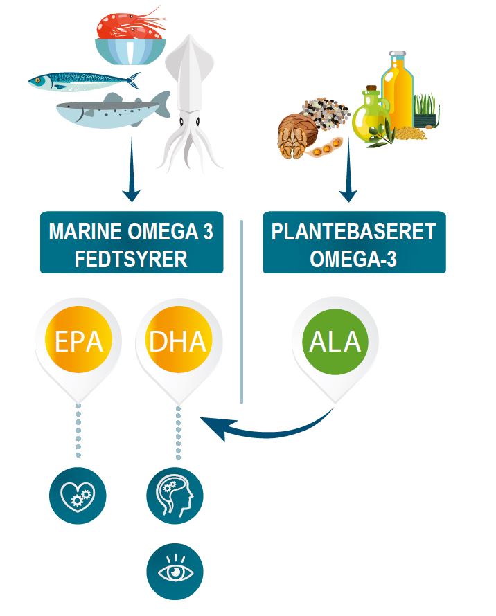 Omega-3 fedtsyre.JPG