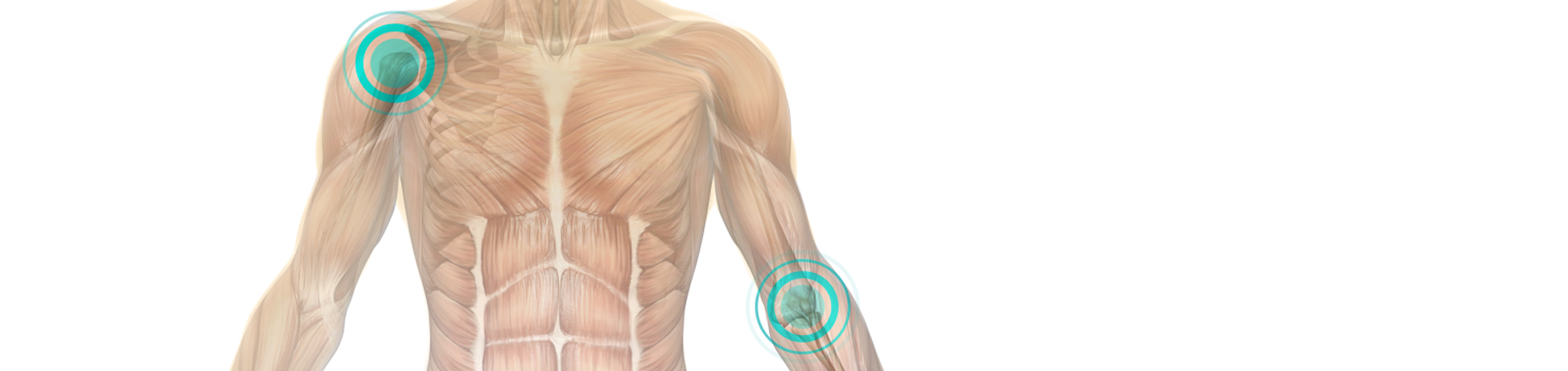 VP_VP_ALL_1920x455_1806_Ilustration_Man_Muchels_Blue_Circles.jpg